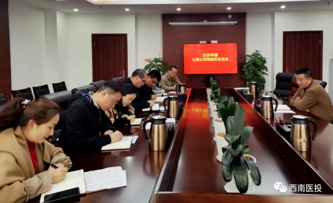 西南醫投集團各基層黨支部召開2020年度組織生活會、開展民主評議黨員工作